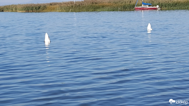 Balatonfenyves