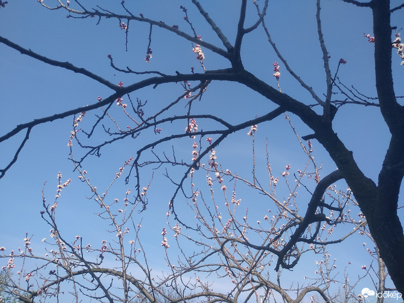 Budapest XXIII.ker - Soroksár