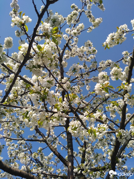 Budapest XXIII.ker - Soroksár