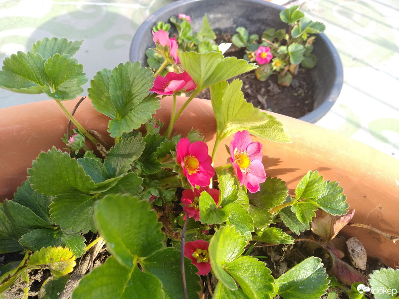 Budapest XXIII.ker - Soroksár