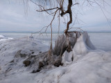 Balaton