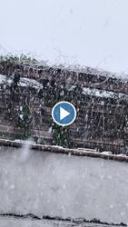 Budapest XX.ker - Pesterzsébet