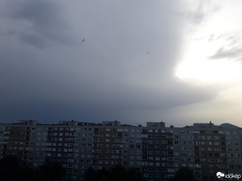 Észlelési fényképek