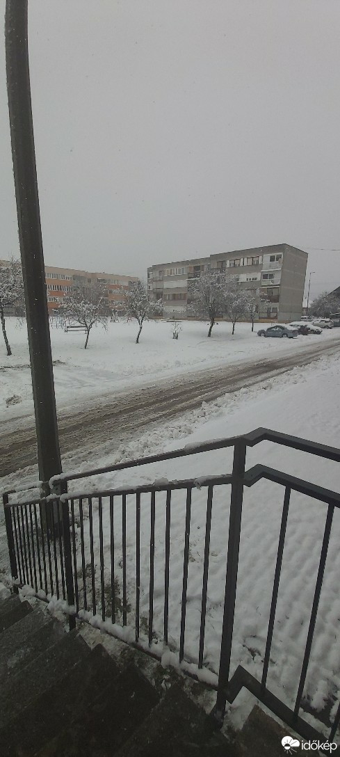 Putnok