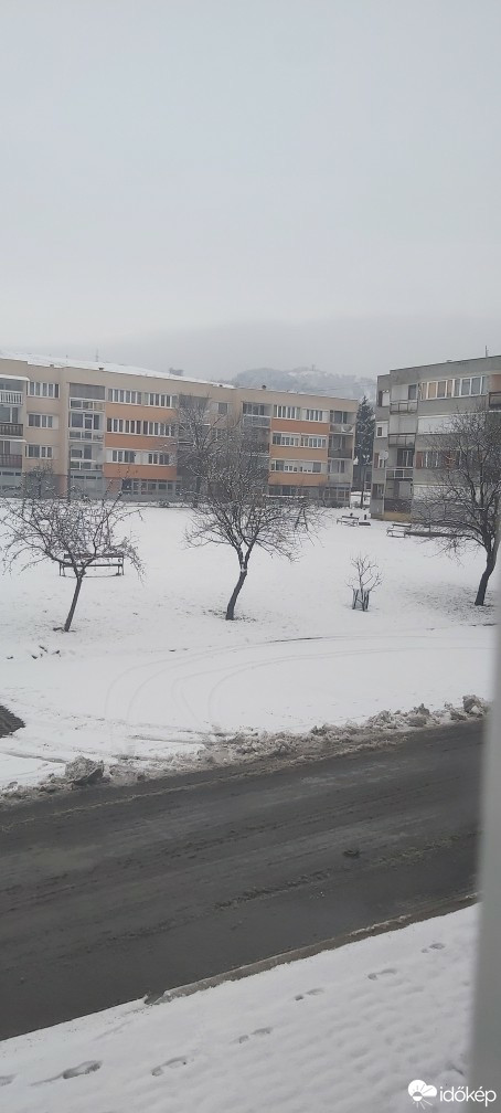 Putnok