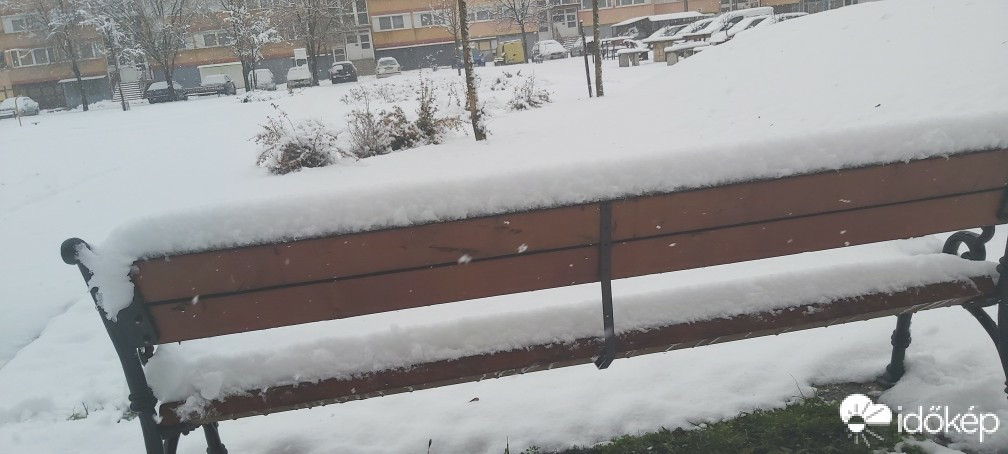 Putnok