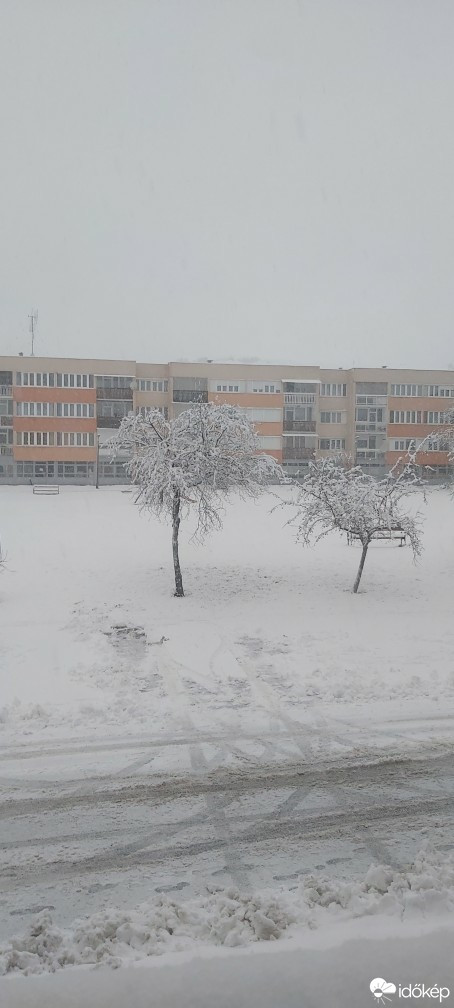Putnok