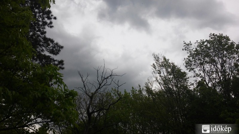 Észlelési fényképek