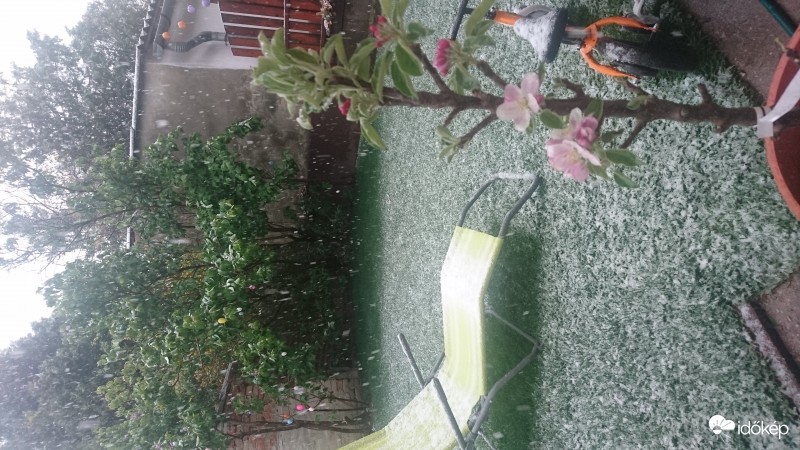 Észlelési fényképek