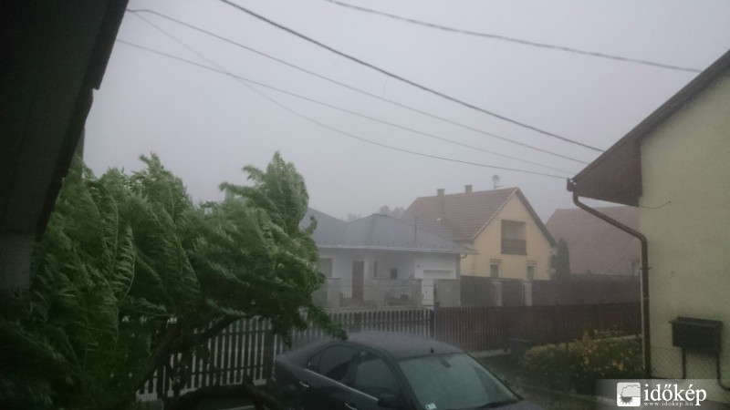 Észlelési fényképek