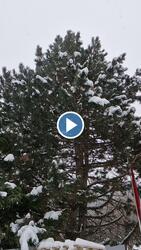 Budapest II.ker - Adyliget