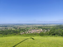 Gutorfölde