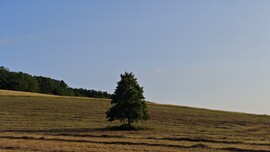 Babosdöbréte