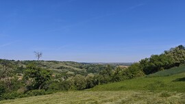 Babosdöbréte