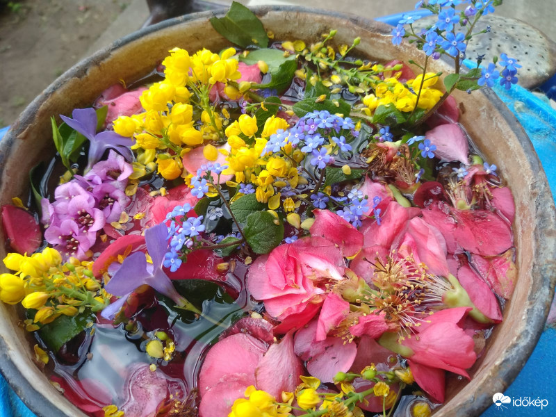 Kerti virágokból