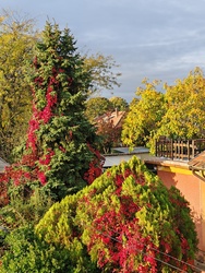 Színek, fények, házak és vezetékek 