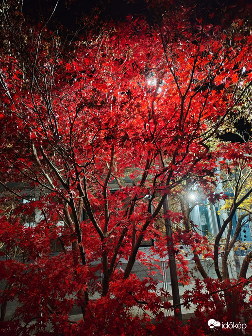 Esti megvilágítás 