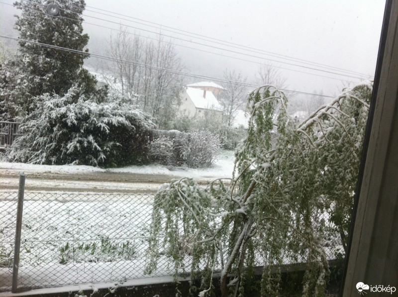 Észlelési fényképek