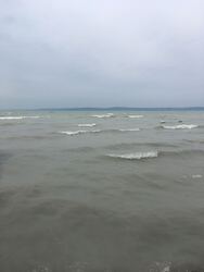 Balatonaliga