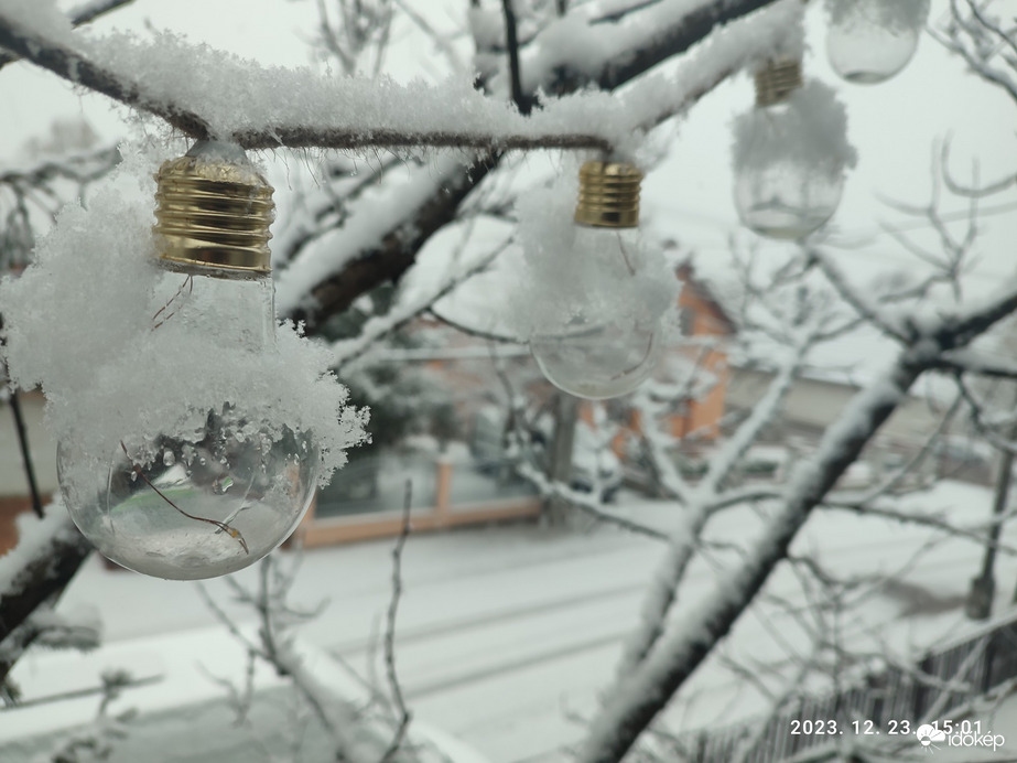 Észlelési fényképek