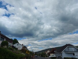 Nantenbach