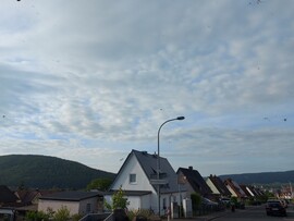 Lohr-Lindig