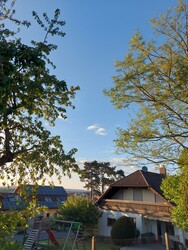 Waldzell