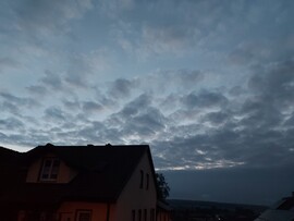 Waldzell