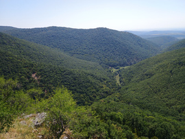 Cserépváralja