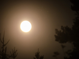 kelő Hold és Fiastyúk