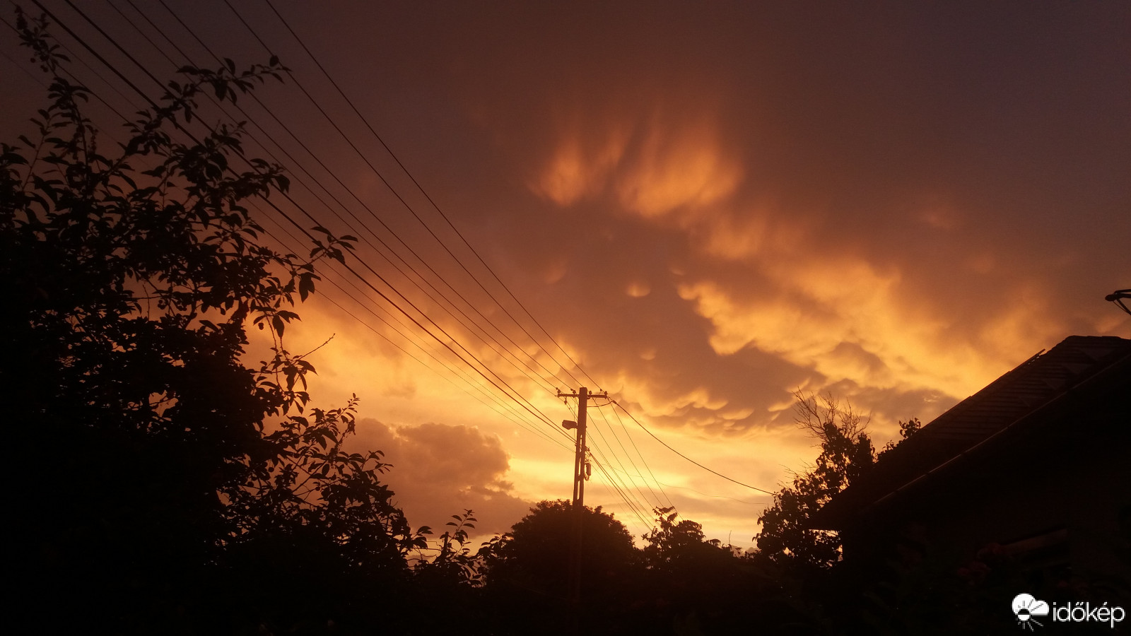 Észlelési fényképek