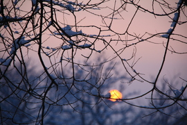Napkorong a havas ágakon
