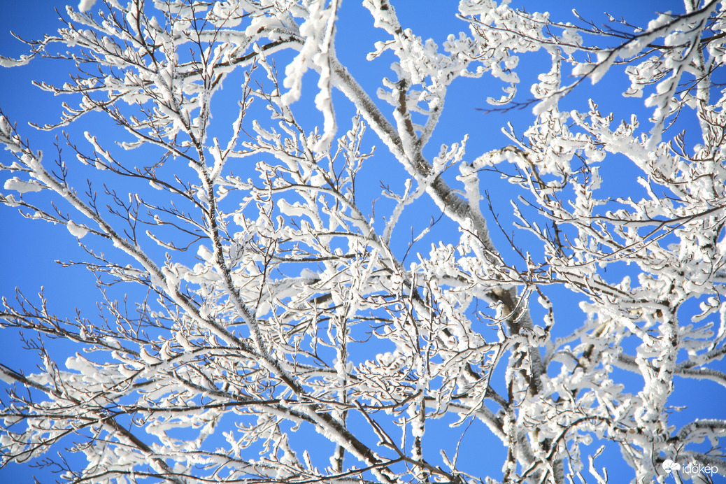 Csipkefüggöny a magasban