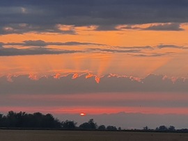 Búzamezőn ért ma a naplemente...