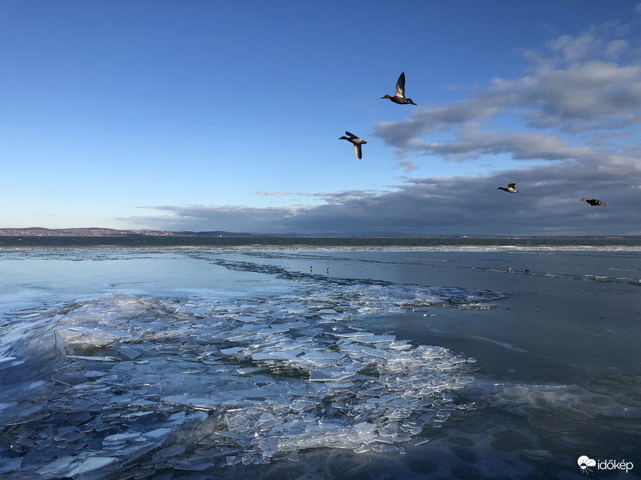 Észlelési fényképek