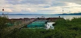 Balatonfüred Brázay közpark2