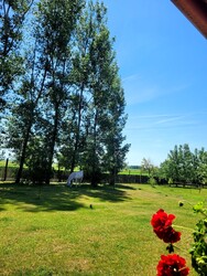 Felsőszentiván