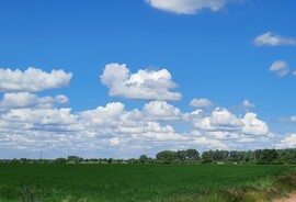 Békésszentandrás