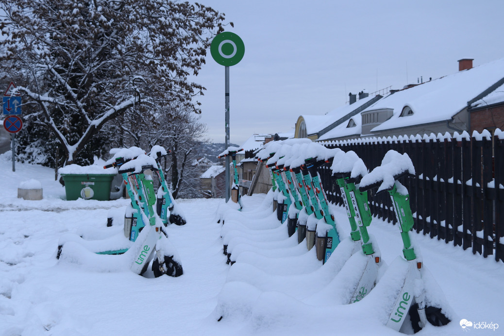 Észlelési fényképek