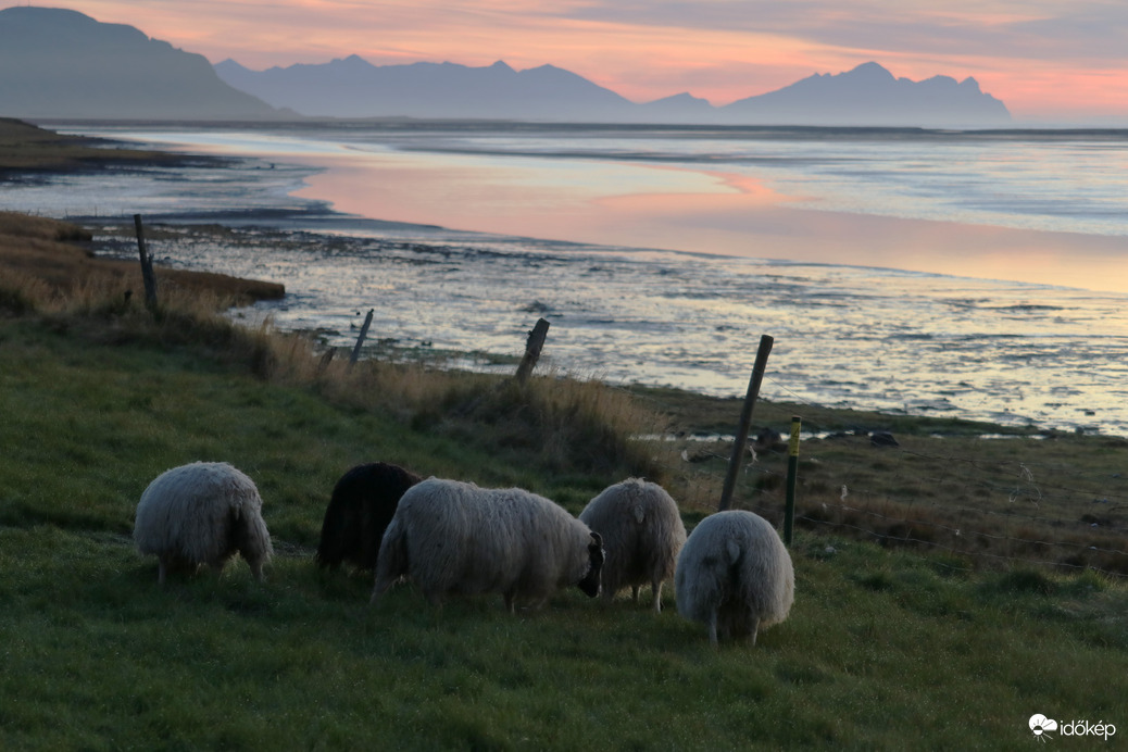 20 év - 20 kép (Fotópályázat)