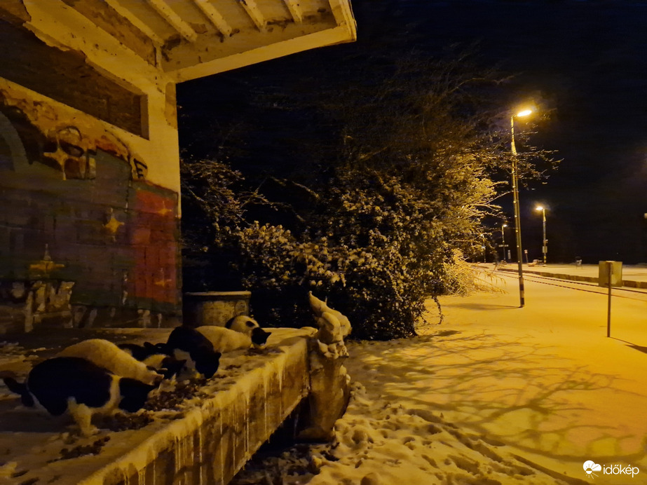 Észlelési fényképek