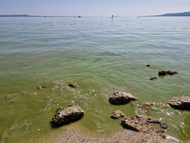 Balatonakali