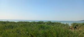 Balaton