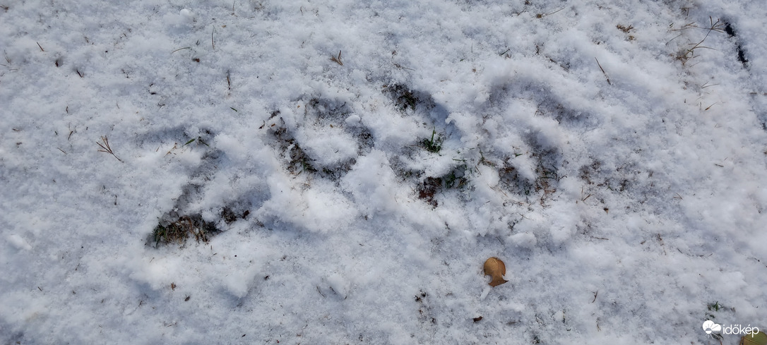 Budapest XVI.ker - Cinkota