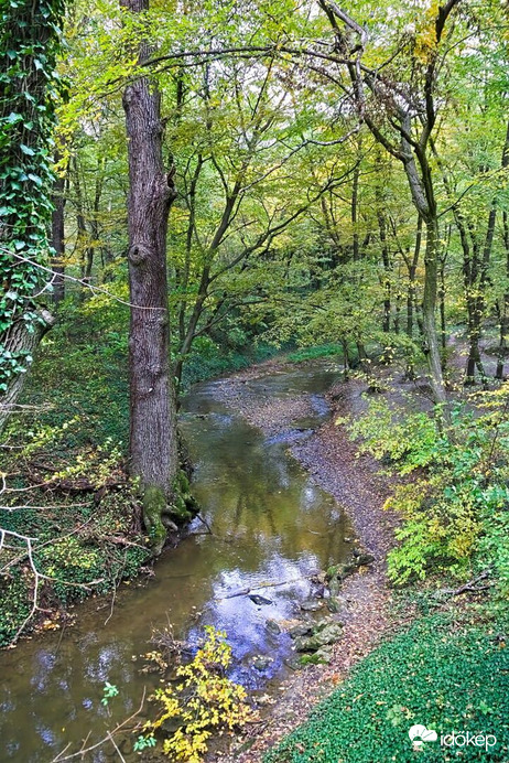 Ősz a Gaja-völgyben