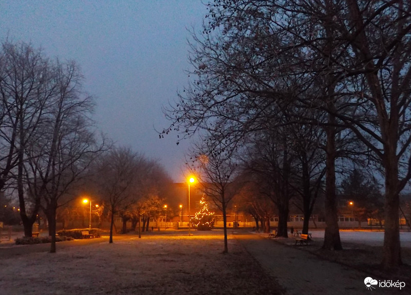 Fehérvári ködös-zúzmarás