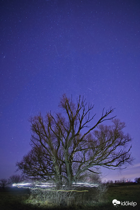 Észlelési fényképek