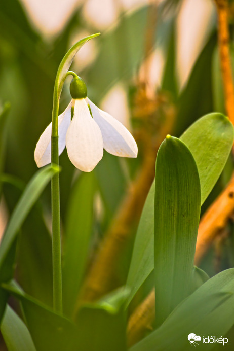 Itt a tavasz :)