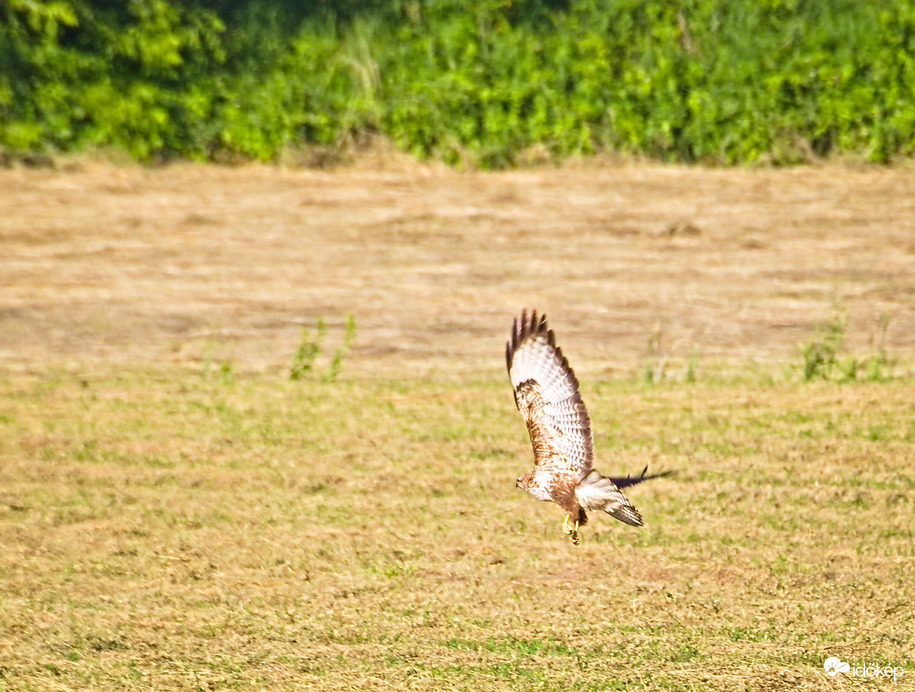 Napsütötte puszták felett