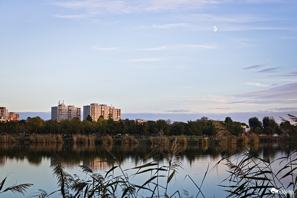 Palotavárosi tavak holddal